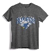 Air Force Falcons T-Shirt Gift - US Air Force Future Pilot Tee for Men, Women, Youth, and Kids - Vintage Aircraft Pilot Apparel