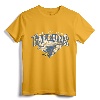 Air Force Falcons T-Shirt Gift - US Air Force Future Pilot Tee for Men, Women, Youth, and Kids - Vintage Aircraft Pilot Apparel