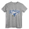 Air Force Falcons T-Shirt Gift - US Air Force Future Pilot Tee for Men, Women, Youth, and Kids - Vintage Aircraft Pilot Apparel