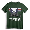 Air Force Veteran Sweatshirt with Vintage Roundel and F15 Jet - Patriotic Military Apparel for US Veterans