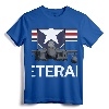 Air Force Veteran Sweatshirt with Vintage Roundel and F15 Jet - Patriotic Military Apparel for US Veterans