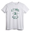 Harry Potter Slytherin Team Seeker Hogwarts Quidditch Pullover Hoodie - Officially Licensed House Apparel for Men, Women, Boys, Girls, Toddlers