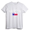 Vintage San Antonio The Alamo Texas Flag T-Shirt - Classic Design for Texas Pride and Alamo Memorabilia