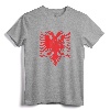 Albania Albanian Eagle Albanian Patriots T-Shirt - Patriotic Flag Tee for Men, Women & Kids with Albanian Roots