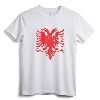 Albania Albanian Eagle Albanian Patriots T-Shirt - Patriotic Flag Tee for Men, Women & Kids with Albanian Roots
