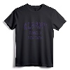 Albany New York Vintage Athletic Sports Design T-Shirt - Retro Albany NY Pride Apparel for Fans and Locals