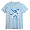 Vintage Scotland Lion Rampant Scottish T-Shirt - Distressed Flag Apparel for Scottish Heritage Lovers