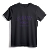 Albany New York Vintage Athletic Sports Design Pullover Hoodie - Retro Albany NY Pride Apparel for Sports Fans