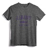 Albany New York Vintage Athletic Sports Design Pullover Hoodie - Retro Albany NY Pride Apparel for Sports Fans