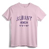 Albany New York Vintage Athletic Sports Design Pullover Hoodie - Retro Albany NY Pride Apparel for Sports Fans