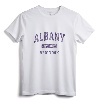 Albany New York Vintage Athletic Sports Design Pullover Hoodie - Retro Albany NY Pride Apparel for Sports Fans