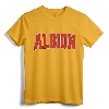 ALBION NY NEW YORK Varsity Style Vintage Sports T-Shirt - Retro Hometown Pride Apparel for Family Vacation and College Students