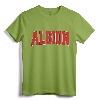 ALBION NY NEW YORK Varsity Style Vintage Sports T-Shirt - Retro Hometown Pride Apparel for Family Vacation and College Students