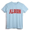 ALBION NY NEW YORK Varsity Style Vintage Sports T-Shirt - Retro Hometown Pride Apparel for Family Vacation and College Students