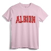 ALBION NY NEW YORK Varsity Style Vintage Sports T-Shirt - Retro Hometown Pride Apparel for Family Vacation and College Students
