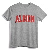 ALBION NY NEW YORK Varsity Style Vintage Sports T-Shirt - Retro Hometown Pride Apparel for Family Vacation and College Students