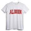 ALBION NY NEW YORK Varsity Style Vintage Sports T-Shirt - Retro Hometown Pride Apparel for Family Vacation and College Students