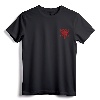 ALBANIA NATIONAL FLAG ALBANIAN EAGLE TIRANA T-Shirt - Patriotic Albanian Heritage Apparel with Distressed Design