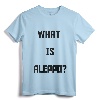 Gary Johnson 'What is Aleppo?' Lightweight T-Shirt - Political Gaffe Statement Apparel