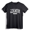 Alexandria Virginia T-Shirt Retro Vintage Tee Gifts VA University Souvenir