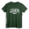 Alexandria Virginia T-Shirt Retro Vintage Tee Gifts VA University Souvenir