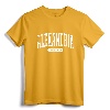 Alexandria Virginia T-Shirt Retro Vintage Tee Gifts VA University Souvenir