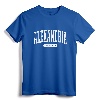 Alexandria Virginia T-Shirt Retro Vintage Tee Gifts VA University Souvenir