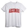 ARKANSAS USA STATE AR Varsity Style Vintage Sports T-Shirt - Retro Family Travel Apparel for Men, Women, and Kids