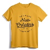 Classic Retro Vintage New Orleans Louisiana Casual Big Easy T-Shirt - Distressed Design for Fans of The Big Easy and Louisiana Culture