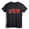 OLD WESTBURY NY Varsity Style Vintage Sports T-Shirt - Custom Retro Apparel for Youth Kids Boys Girls and Family Vacation Souvenir